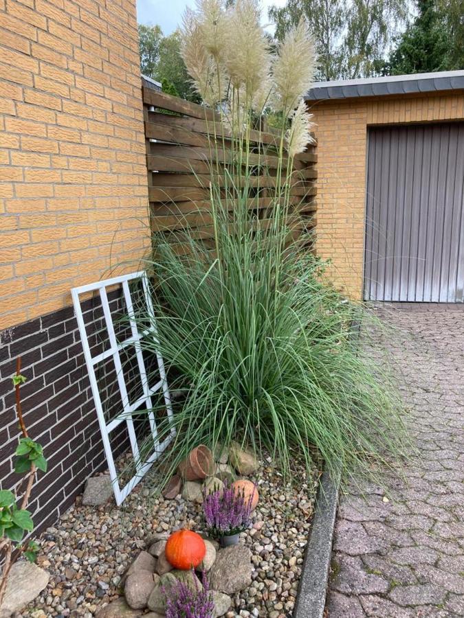 Ferienwohnung Schultze Munster Exterior photo
